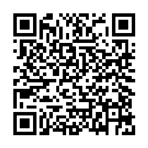 看来某猫当前具有杀伤力的部位竟不止爪子而已二维码生成