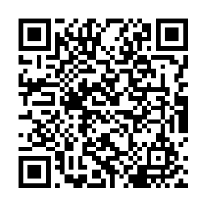 看来此次与lcd进行训练赛的并不是飞科所在那支的队伍二维码生成