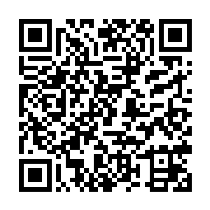 看来泉星宗的星灿坊在这佩星城中占了天时地利人和二维码生成