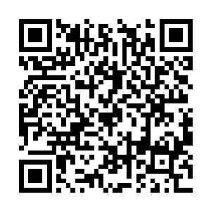 看来程教授是对遇上我这么一个和她一样学历史的二维码生成