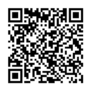 看来老大在老爷子和老太太心目当中的位置非常的高二维码生成