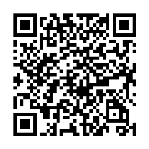 看来老夫人几十年养成的强势个性一夕之间很难改变呀二维码生成