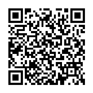 看来自己要拿黑甲陪练的决定完全是正确无疑的二维码生成