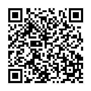 看来自己还是低估了龙虎塑身诀和大龙虎拳的威力二维码生成