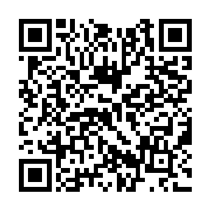 看来自己还真的就需要好好的劝慰一下自己的母亲二维码生成