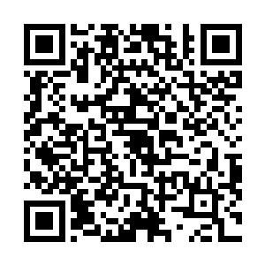 看来自己这个老爷机要渲染说不定要一整天……真是悲惨二维码生成