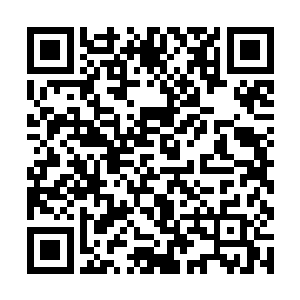 看来西门世家确实十分重视东方世家这次的家主典礼二维码生成