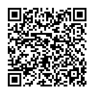 看来许紫烟比赛的时候爆丹确实是因为大赛给提供的草药出了问题二维码生成
