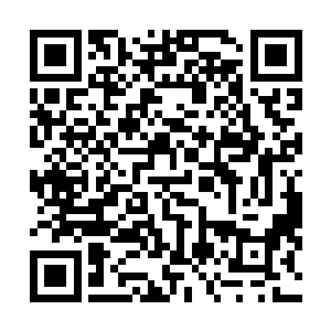 看来谁都意识到这个手机的钱比罐子里面加起来的还要多二维码生成