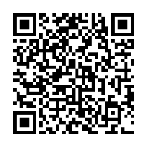 看来赵长枪就是用这玩意将两米多的大猩猩活埋在地下的二维码生成