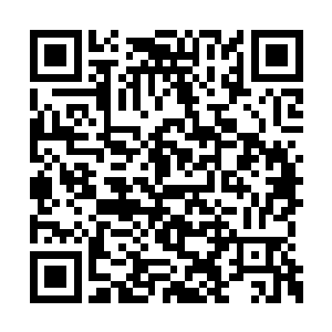 看来轩辕家和庚家为了让你获得远古荒兽的尸体二维码生成