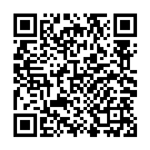 看来辰家在这一次破除封印的行动中扮演着极为重要的角色二维码生成