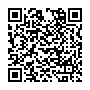 看来这一次完成神殿长老交代的任务实乃轻而易举二维码生成