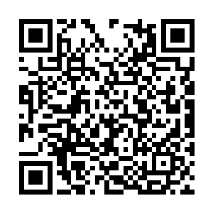 看来这一次康少肯定是有了必胜的把握才会回来的二维码生成