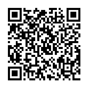 看来这个佣兵团工会的供奉也是时候该找个人换一下了二维码生成