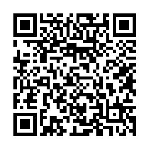 看来这个名气还挺大的利刃钟毅也是一个软蛋而已二维码生成