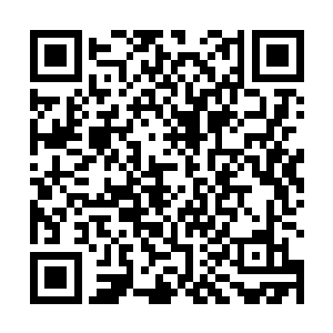 看来这个大千世界还对自己的孕育出来的人类怀有希望二维码生成