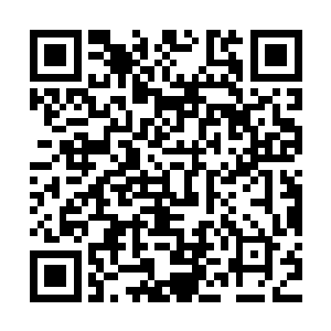 看来这些人都是各大军区指派出来准备要参加特种兵比武大会的二维码生成