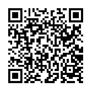 看来这位传说刚刚加入魔宫但是根基很浅的主子底蕴很深二维码生成