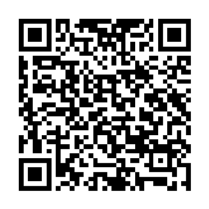 看来这半天他们并没有像他们计划中的那样好好休息二维码生成