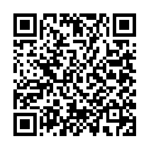 看来这天道境的巫族是有意识的保持了巫族的形态了二维码生成