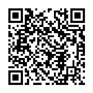 看来这女人经历了一场生死后改变不小…微微点头二维码生成