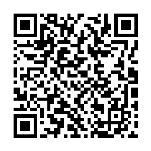 看来这家跆拳道馆和其他的武校武馆还真有些不同二维码生成