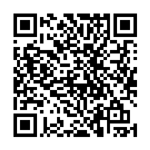 看来这里大概还没有针对机器人和潘德拉人的特别歧视二维码生成