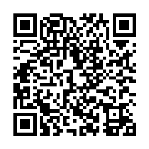 看来这飞宇密境不单单只是处于次元裂缝之中那么简单二维码生成