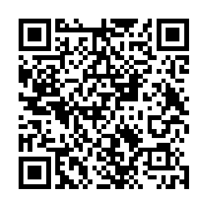 看来都是长期在各种官面诚给领导人做保卫工作行成的面容二维码生成