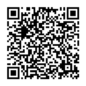 看来里面有什么很厉害的东西在诱惑丧尸趋附……周围没有一个丧尸二维码生成