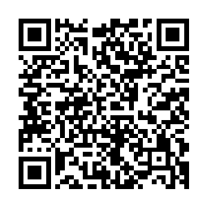 看来陆少宇也是从灵虚卷轴中知道神树之下有传送法阵的事情二维码生成