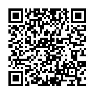 看来风若云真的没有再跟自己一起快乐玩耍的意思了二维码生成