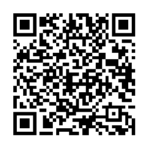 看样子今年地区奖励这辆桑塔纳又要落在你们双峰o阿二维码生成