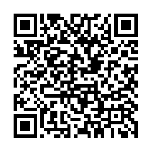 看样子以后我们被放鸽子的几率怕是只会增不会减了二维码生成