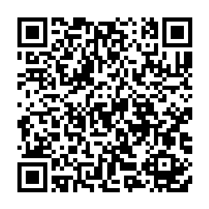 看样子你们都还是觉得这样改制使得你们政府失去了对这些企业的控制权二维码生成