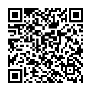 看样子你在小朋友的心里面还是有着相当的影响力呀二维码生成