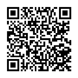 看样子就连教宗大人在调查清楚之前都无意与对方硬拼了……二维码生成