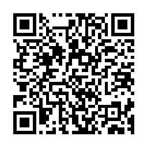 看样子我需要在家族内呆上几年才能带你去中洲大陆的灵族了二维码生成