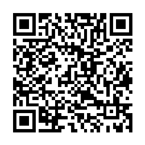 看样子曲双公路一立项只怕就引来无数人的垂涎了二维码生成