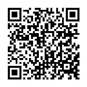 看样子没藏讹庞还是将自己的魔爪伸向了嘛嘛宝藏二维码生成