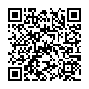 看样子萧风是打定主意不允许别人碰纯纯的尸体了二维码生成