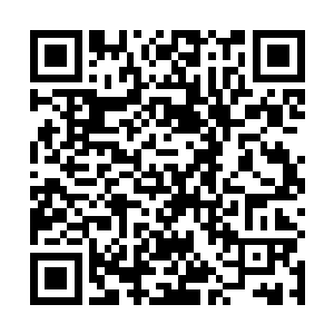 看样子许清雅是逐渐的有些适应现在这样的生活节奏了二维码生成