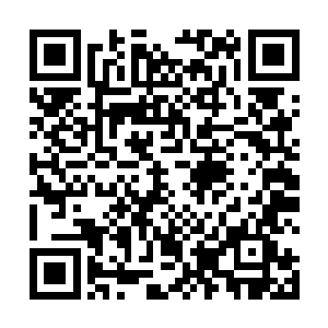 看样子还打算上第三遍茶叶好好地研究一下全新的笑林二维码生成