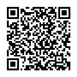 看样子这些家伙一开始就已经准备好了一旦被发现就是死拼啊二维码生成