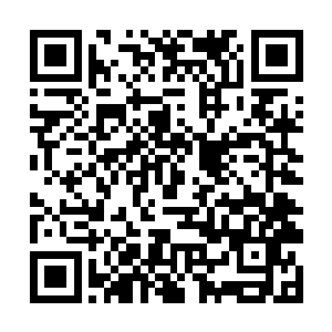 看样子这位美女经纪人还是不打算继续留下来啊……二维码生成