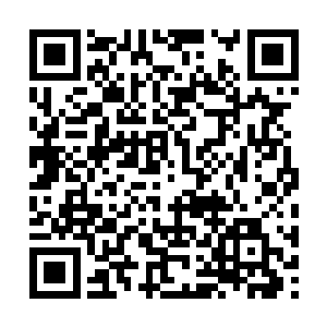 看样子那个出身神羽福地的墨徒一直没有放弃偷袭二维码生成