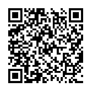 看样子高级净灵阵也无法让天地灵气全部涌进来啊二维码生成