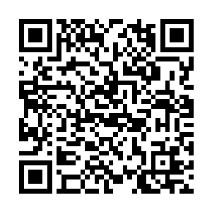 看样子黎兵对自己肚子里的这个孩子还是挺喜欢的二维码生成