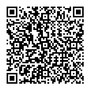 看模样简直就比恐怖片中最叫人恶心最叫人害怕的东西还要更叫人浑身发麻――如果形象点来说二维码生成